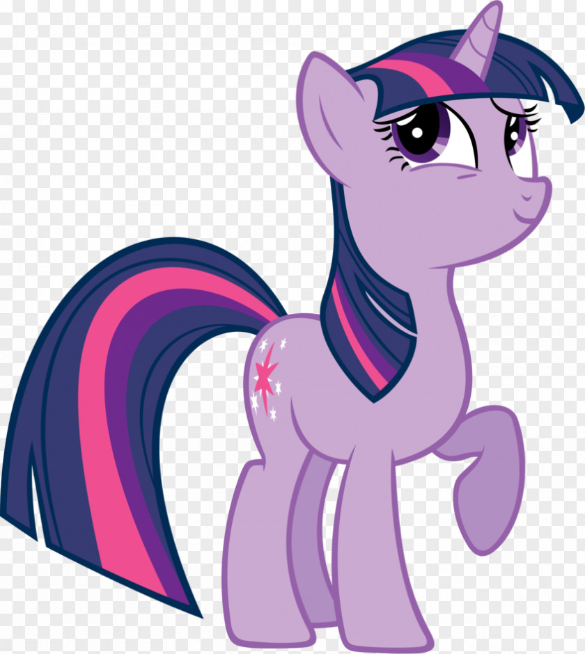 Twilight Sparkle Pinkie Pie Pony Rarity Applejack PNG