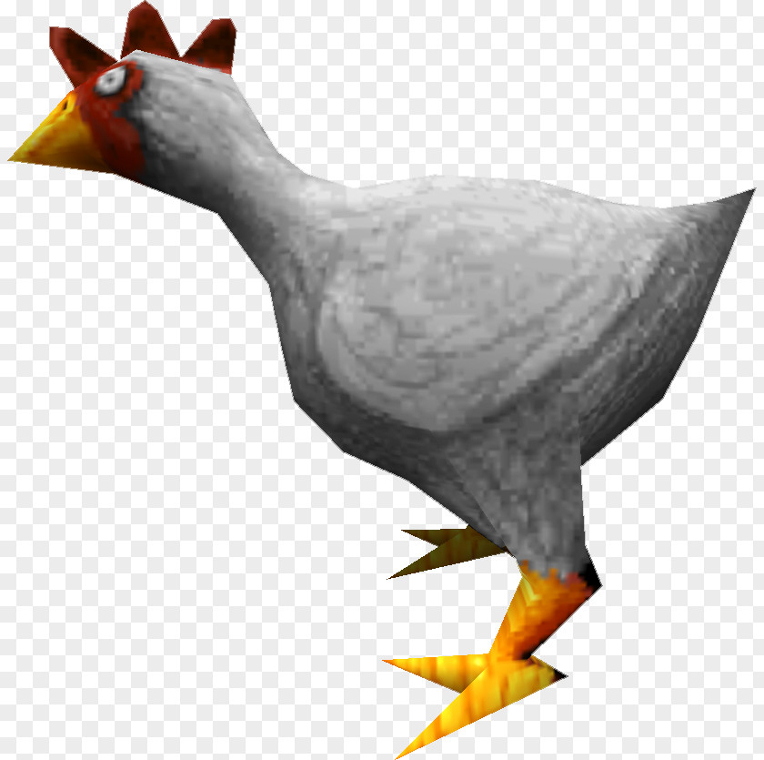 Chicken Duck Counter-Strike Online Game Bird PNG