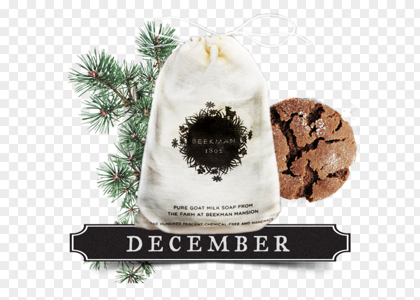 Christmas Ornament Flavor PNG