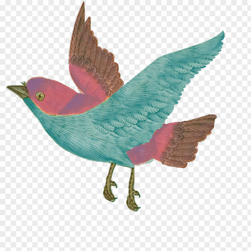 Dress Designer Bird Fashion PNG