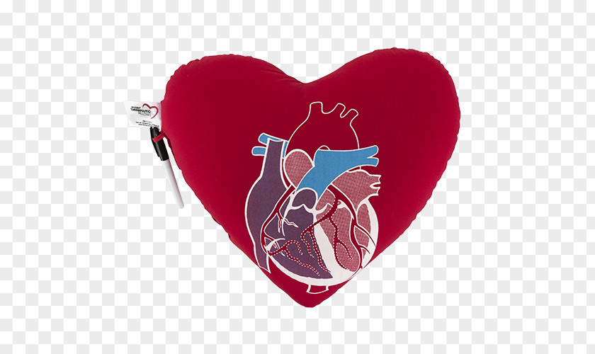 Heart Pillow Cushion Cardiothoracic Surgery PNG
