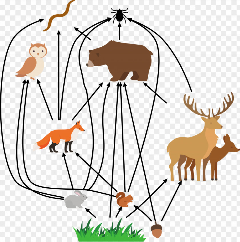 Reindeer Thesis University Of Chicago YouTube Clip Art PNG
