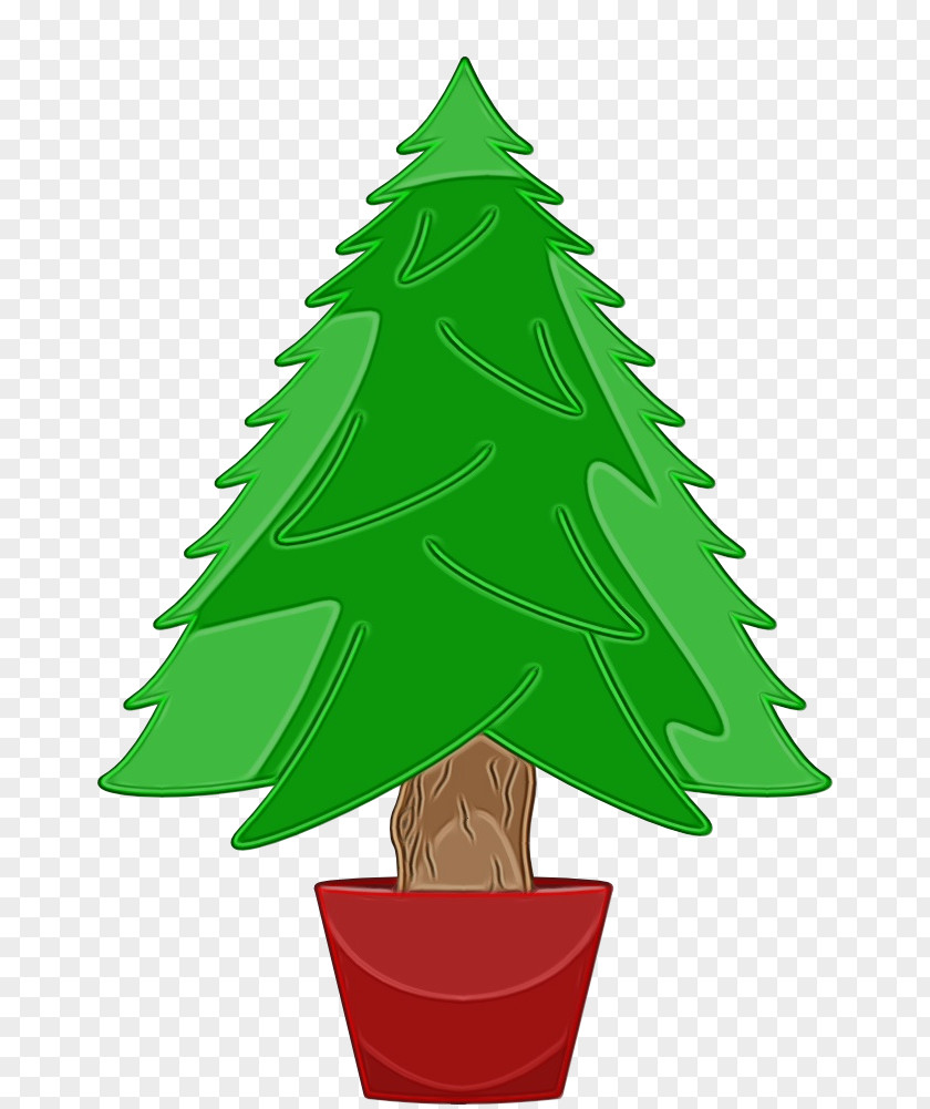 Woody Plant Pine Christmas Tree PNG