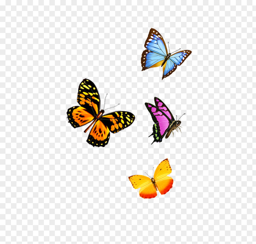 Butterfly IPhone 6S SE PNG