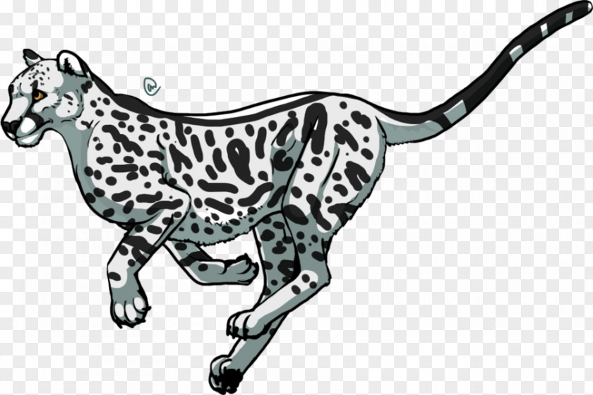 Cartoon Cheetah Pictures Lion Clip Art PNG