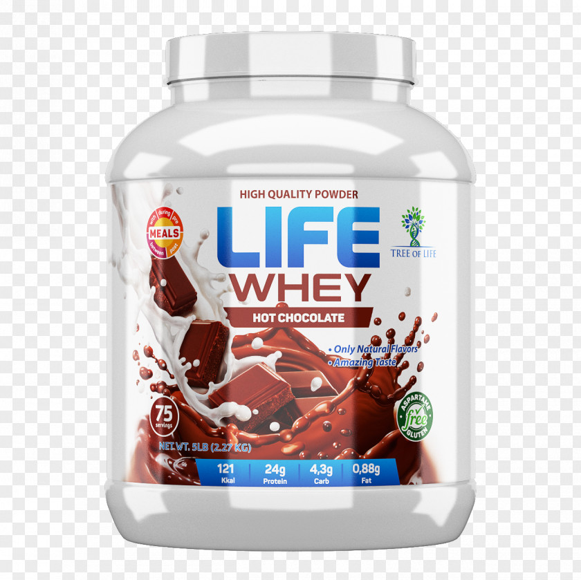 Chocolate Milkshake Protein Bodybuilding Supplement Whey Casein PNG