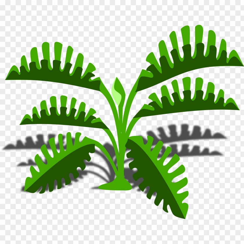 Creative Zipper Leaf Philodendron Clip Art PNG