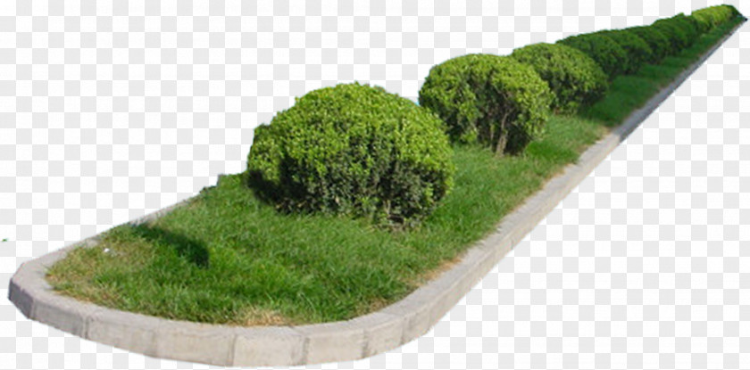 Green Grass Garden Environment Rendering Natural PNG