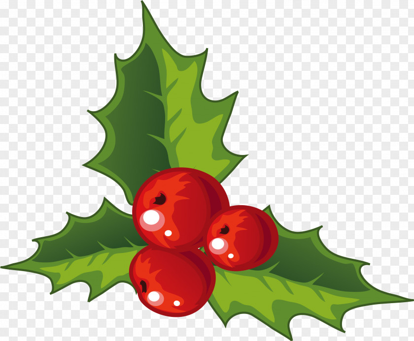 Holly Decorations For Christmas Decoration PNG