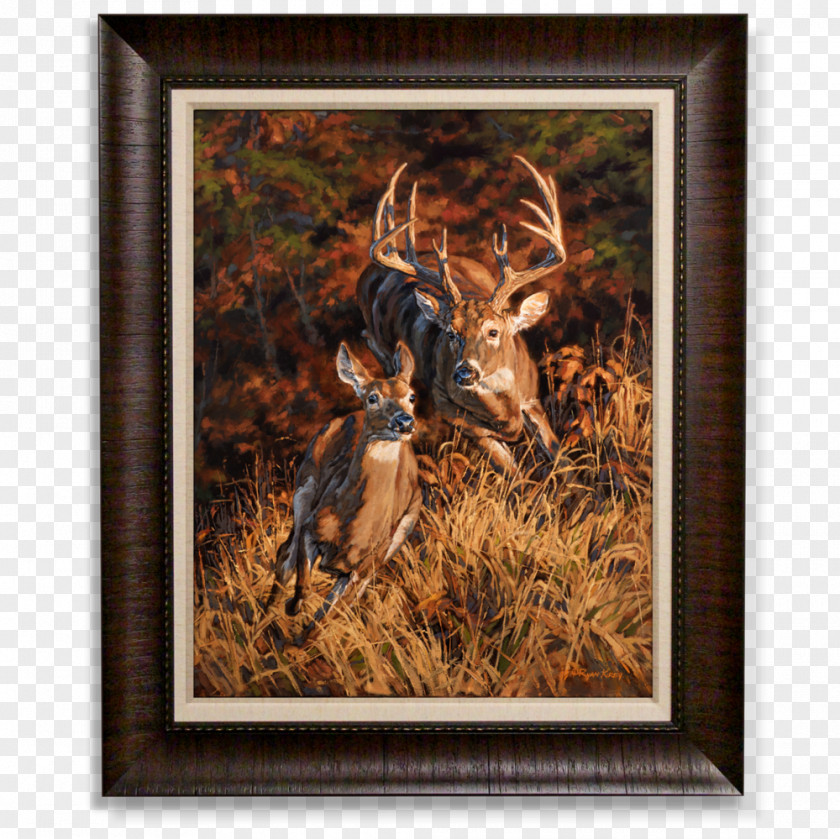 Deer White-tailed Elk Painting Art PNG