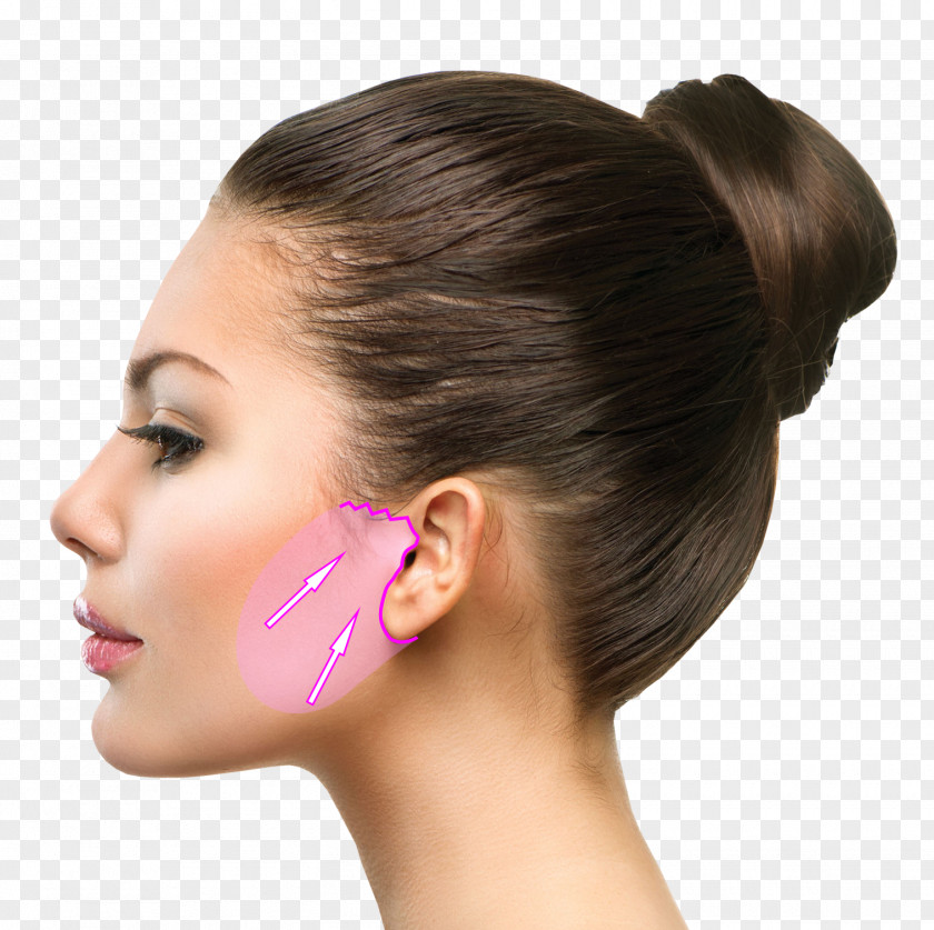 Face Stock Photography Profile Of A Person PNG