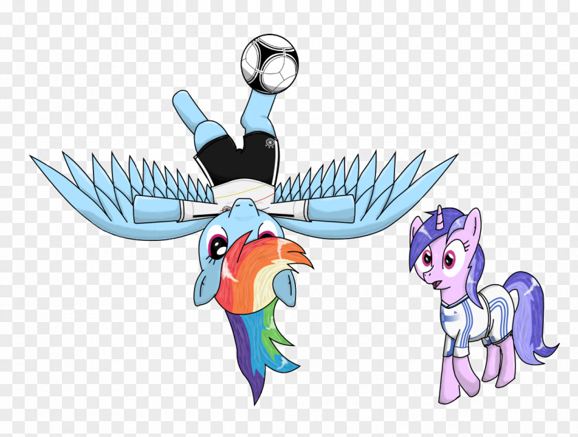 Horse Rainbow Dash Pony One For Brazil PNG