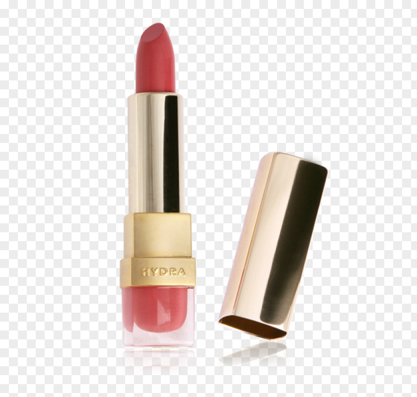 Lipstick Pomade Cosmetics PUPA Face Powder PNG