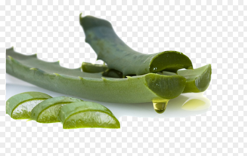Oil Aloe Vera Dietary Supplement Gel Candelabra PNG