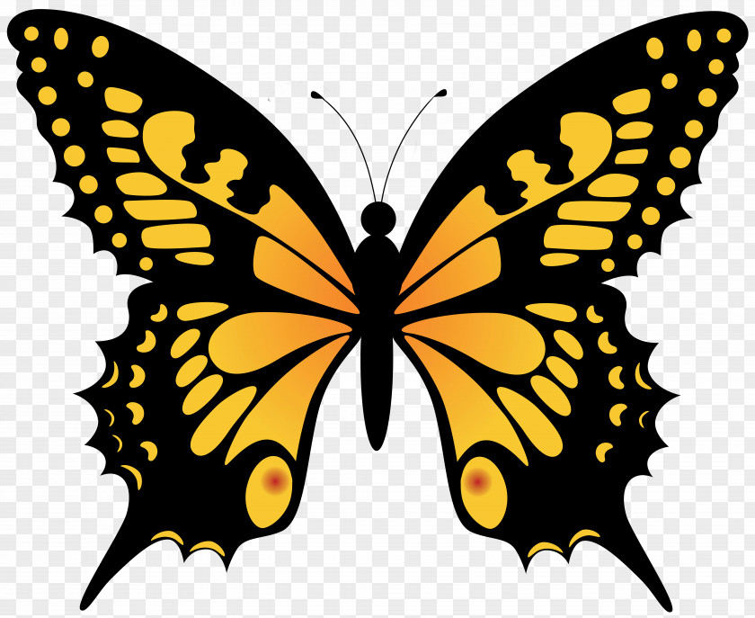Pine Ornament Monarch Butterfly Clip Art Brush-footed Butterflies Image PNG