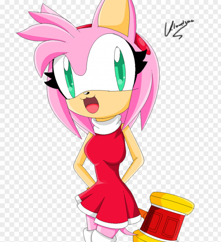Sonic The Hedgehog Amy Rose Ariciul PNG