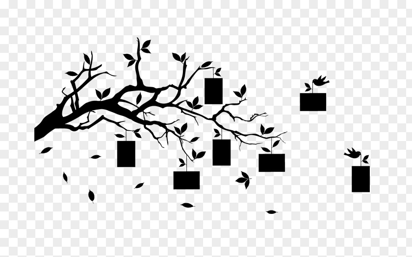Torah Wall Decal Branch Picture Frames Twig Tree PNG