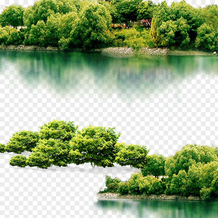 Trees Lake Putuo District, Zhoushan Icon PNG