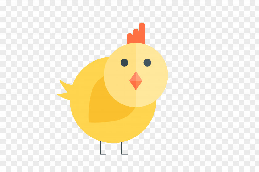 Vector Cute Animal Pictures Chicken Drawing PNG
