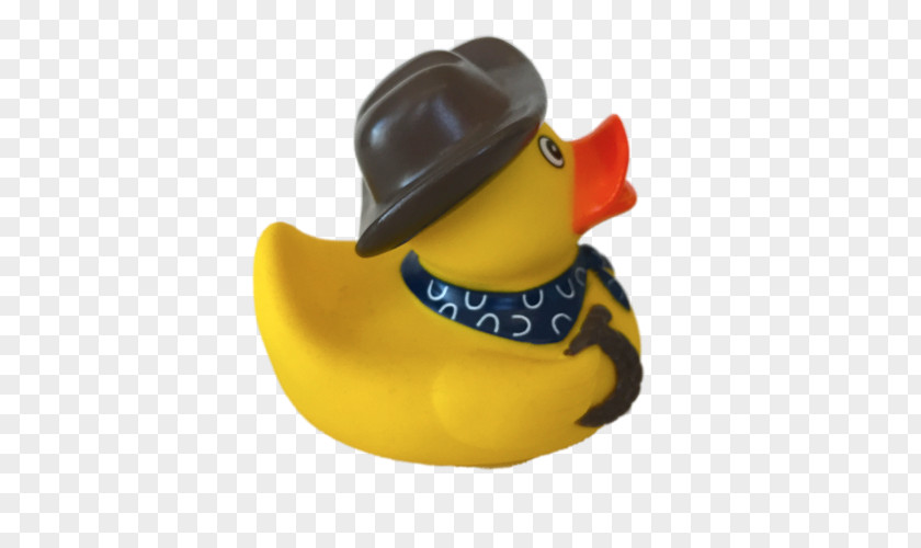 Cowboy Scarf Duck Headgear PNG