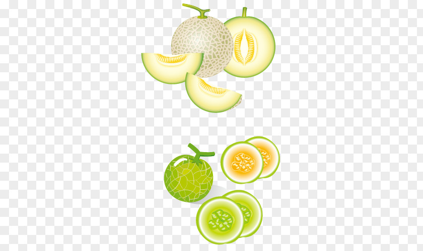 Creative Green Melon Fruit Hami Cantaloupe Honeydew Kiwifruit PNG