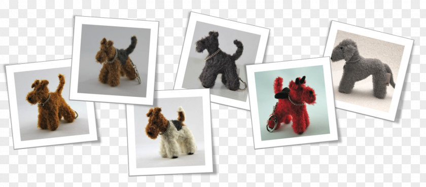 Dog Picture Frames Shoe Animal PNG