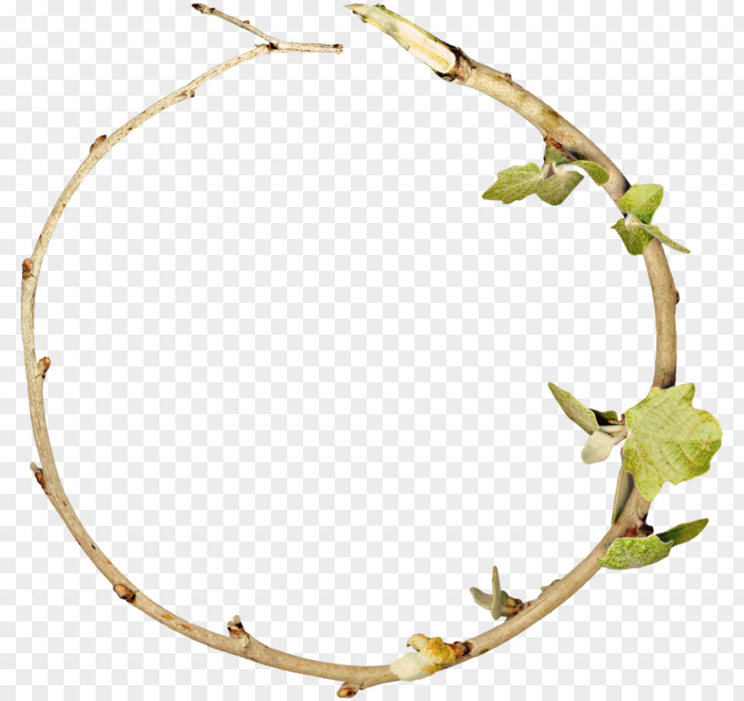 Jewellery Headband Leaf Branch PNG