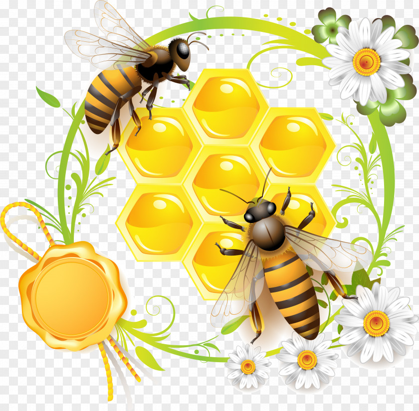 Bee Can Stock Photo Photography Clip Art PNG