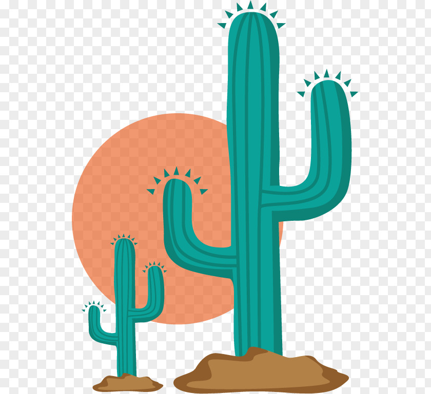 Creative Cactus Euclidean Vector Cactaceae PNG