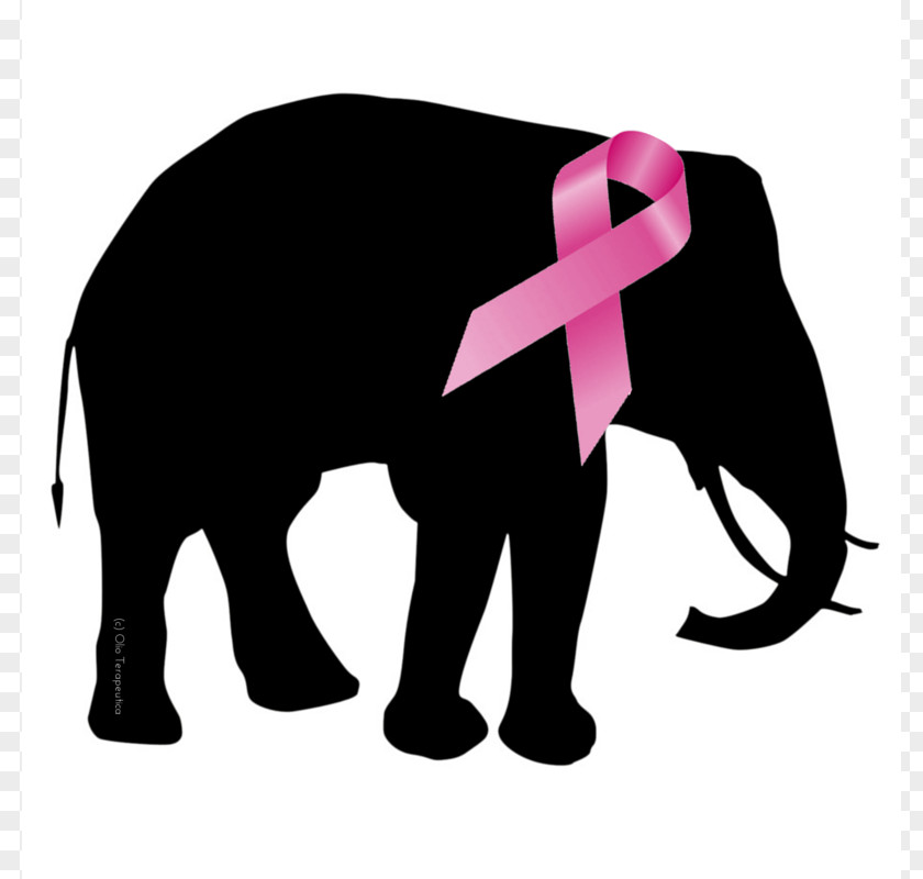 Pictures Of Pink Elephants African Elephant Silhouette Clip Art PNG
