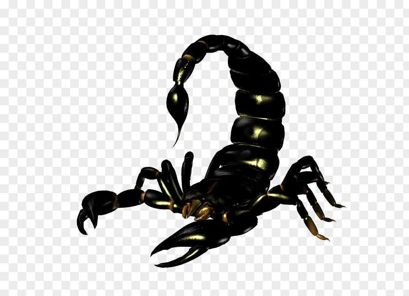 Scorpion Emperor Clip Art PNG
