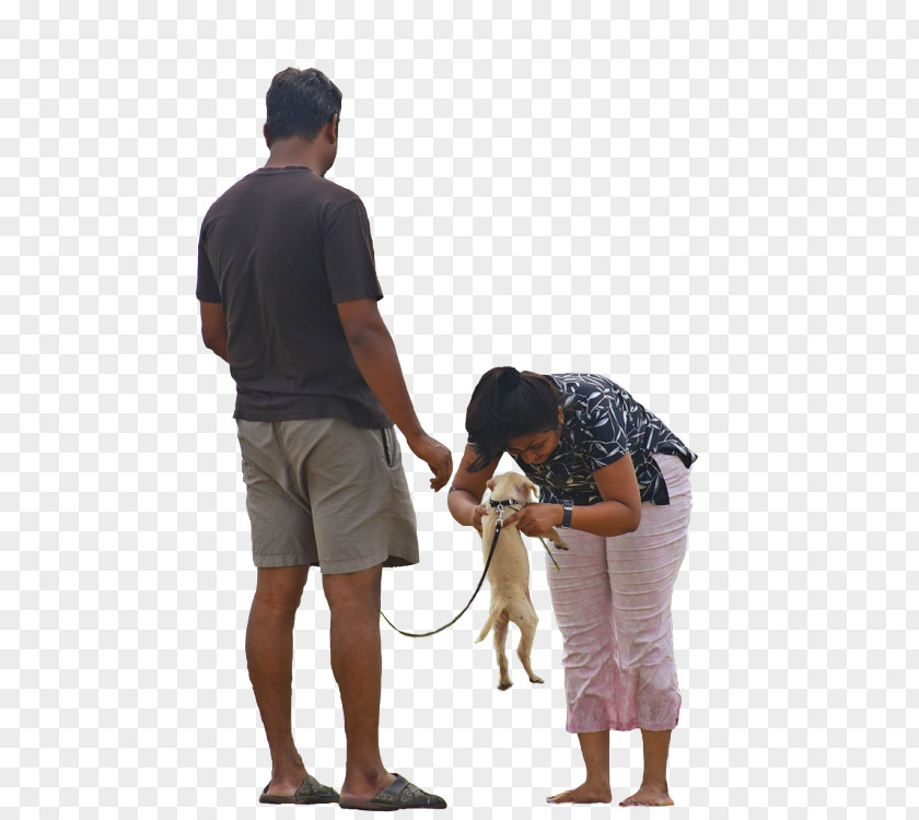 Couples People Dog Walking Pet Sitting PNG