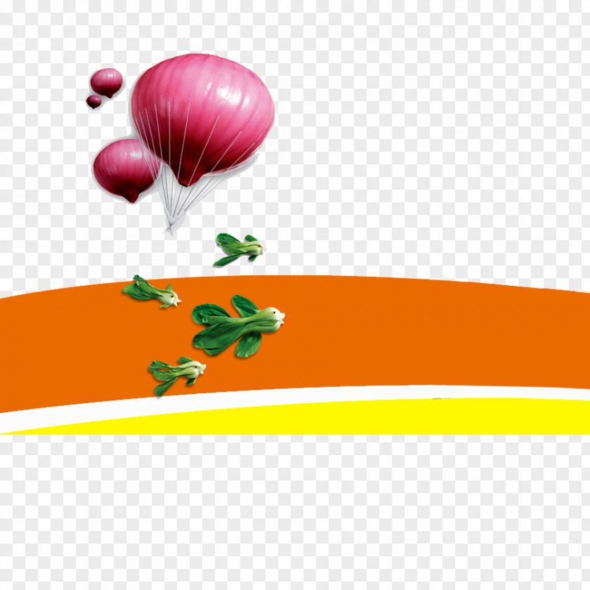Onion Vegetables Vegetable Gratis Icon PNG