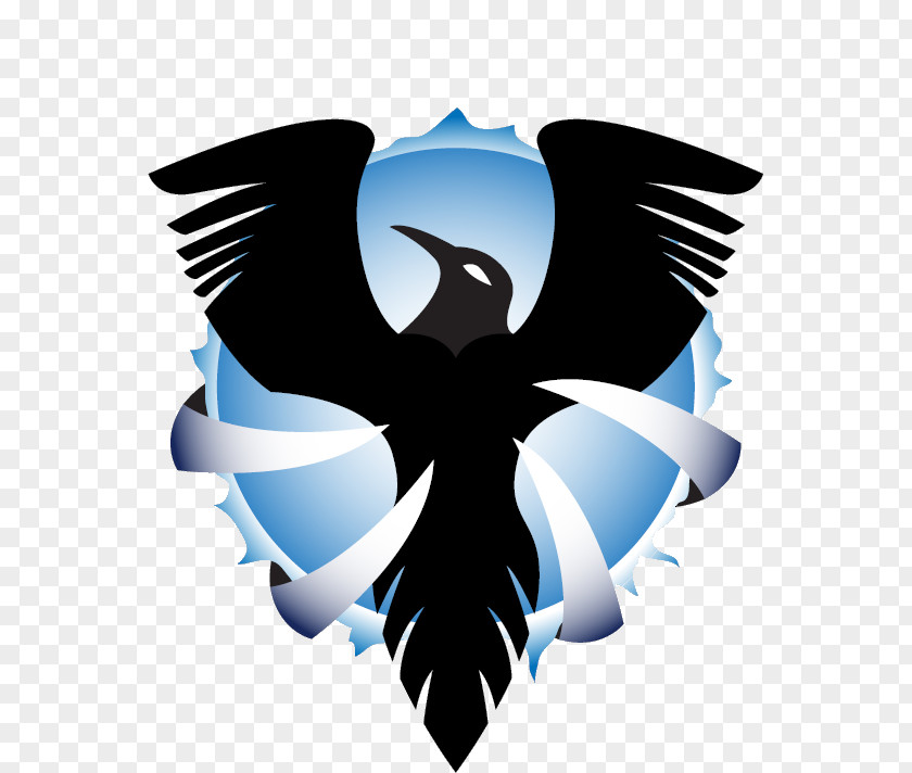 Raven Logo MechWarrior Online Baltimore Ravens PNG