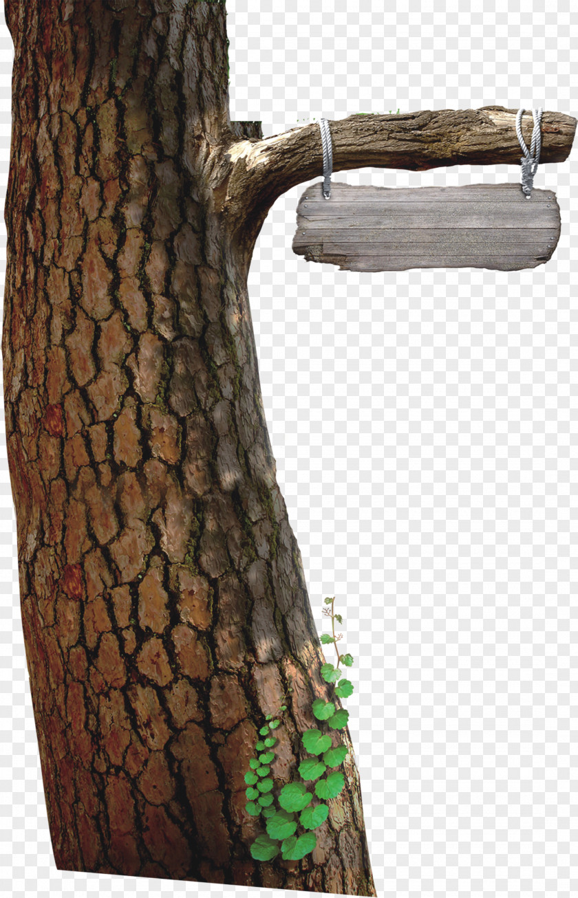 Tree Poster Wood PNG