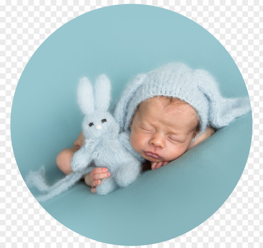 Viktor Ponedelnik Infant Domestic Rabbit Fotografie Christa Nerinckx Stuffed Animals & Cuddly Toys Easter Bunny PNG