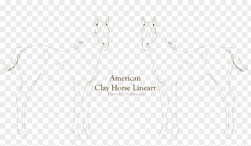 Ach Pattern Mustang Foal Colt Halter Sketch PNG
