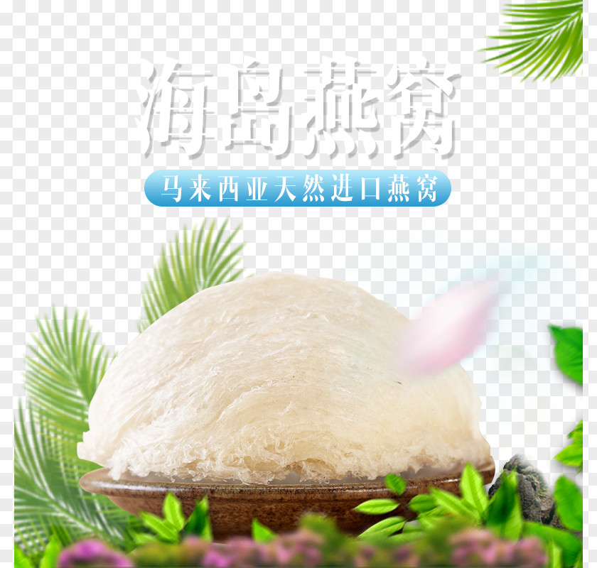 Bird's Nest Main Map Edible Birds Insecticide PNG