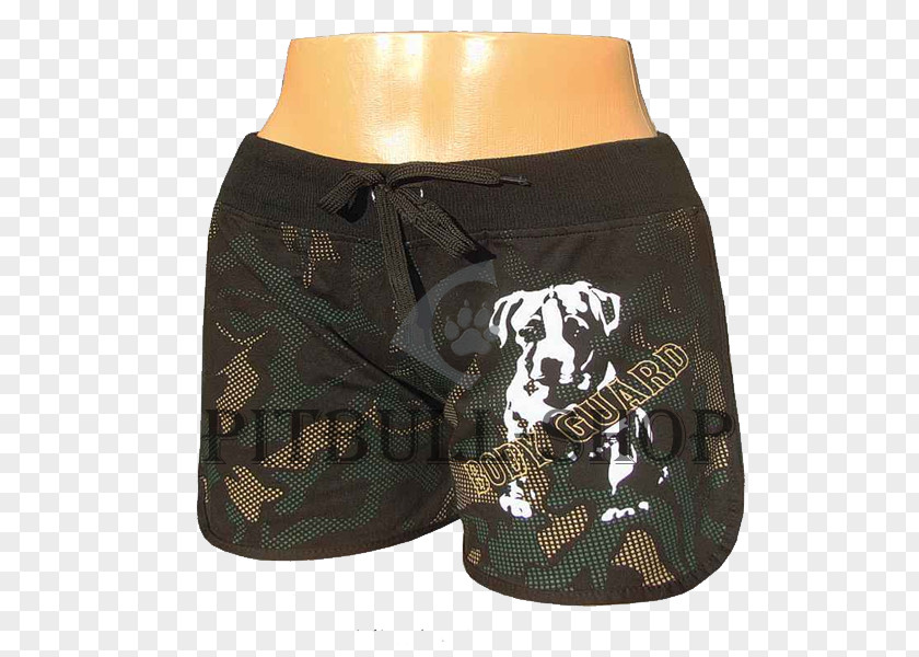 Bodyguard Trunks Shorts Artikel Underpants PNG