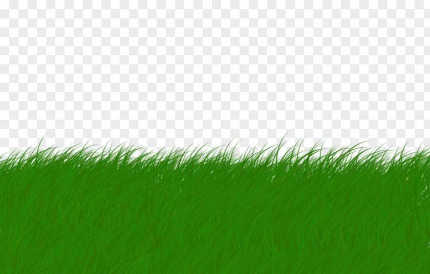 Cara Delevingne Lawn Animation Drawing PNG