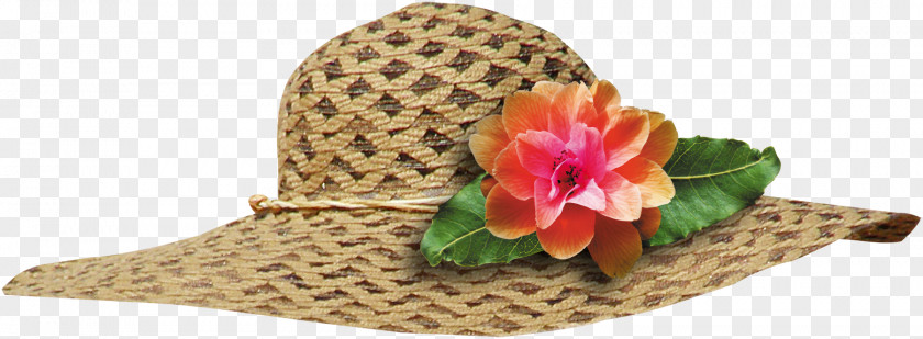 Flowers Hats Sun Hat Cap Visor PNG