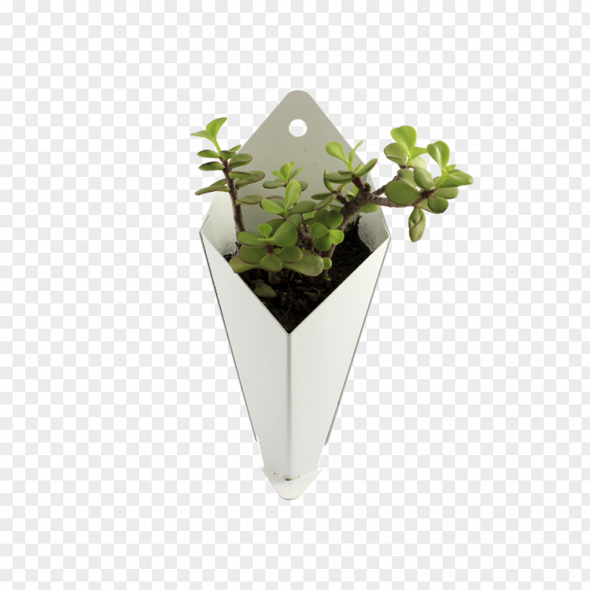 Maceta Flowerpot Clic-clac Material Length PNG