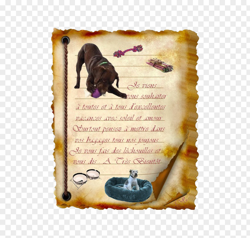 Notebook Paper Parchment Scroll PNG