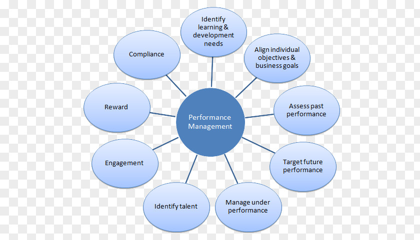 Performance Management Market Research Marketing Organization PNG