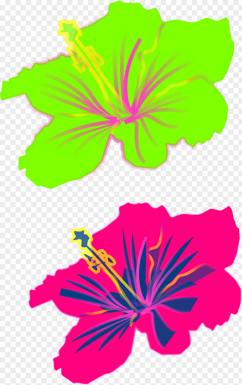 Smell Of Hibiscus Shoeblackplant Hawaiian Clip Art PNG