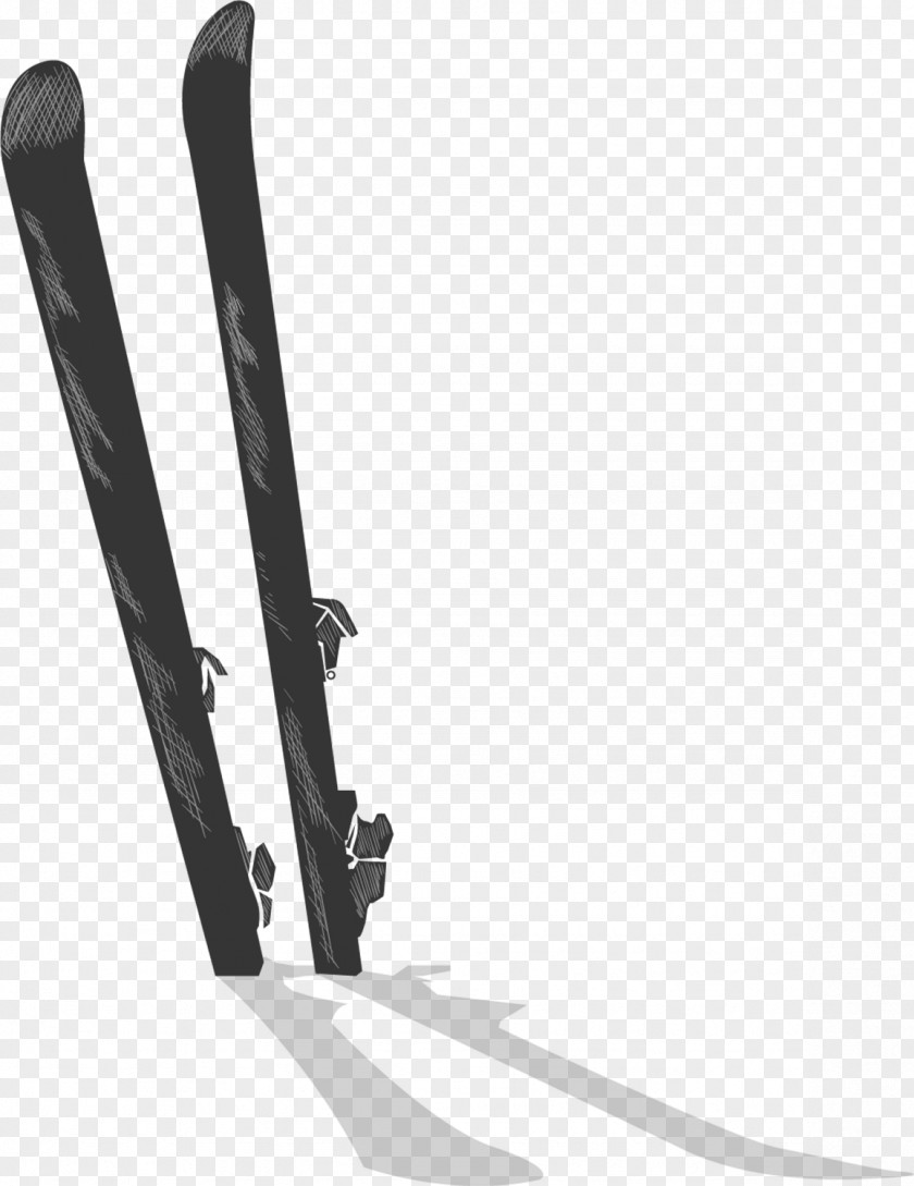 Vector Snow In The Snowboard Skiing Skiboarding Winter Sport PNG