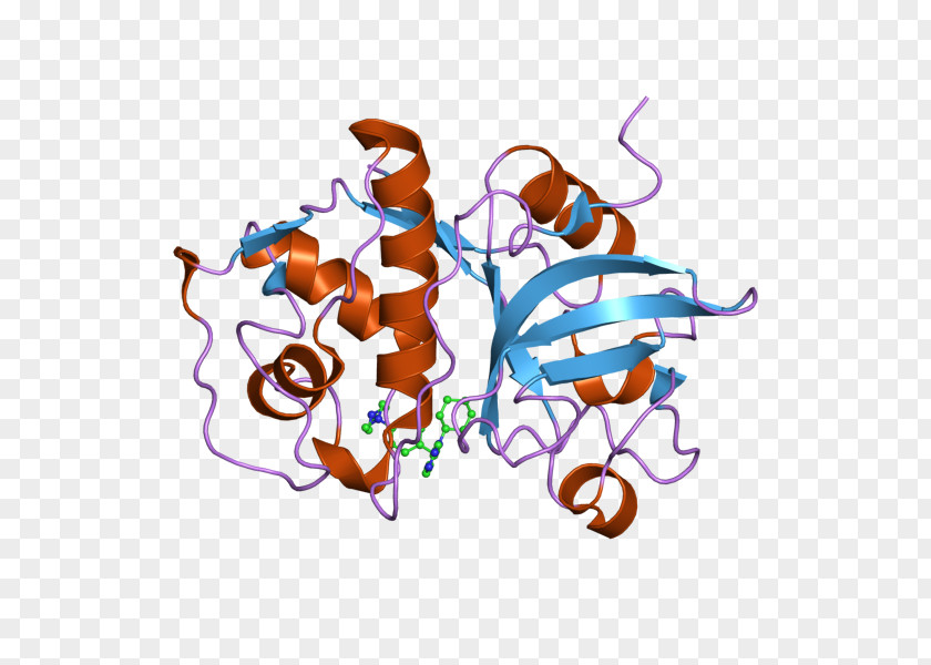 European Bioinformatics Institute Dihydrofolate Reductase Enzyme Dihydrofolic Acid Methylenetetrahydrofolate PNG