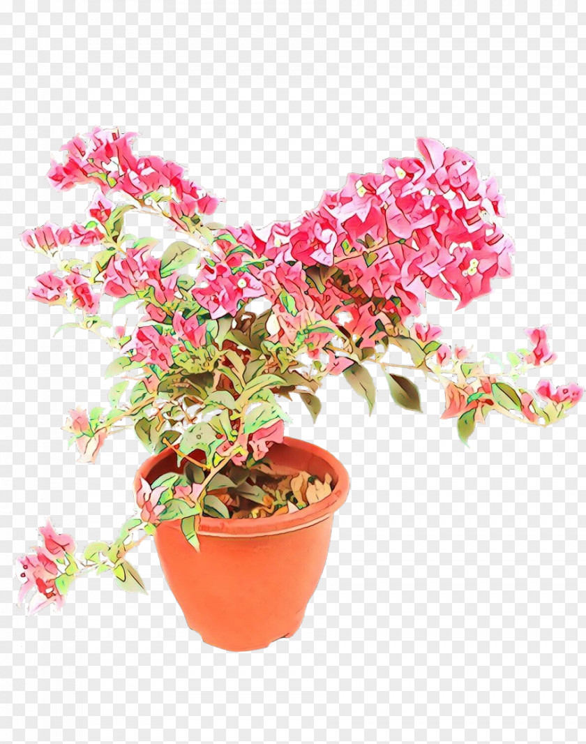 Flower Flowerpot Plant Bougainvillea Pink PNG