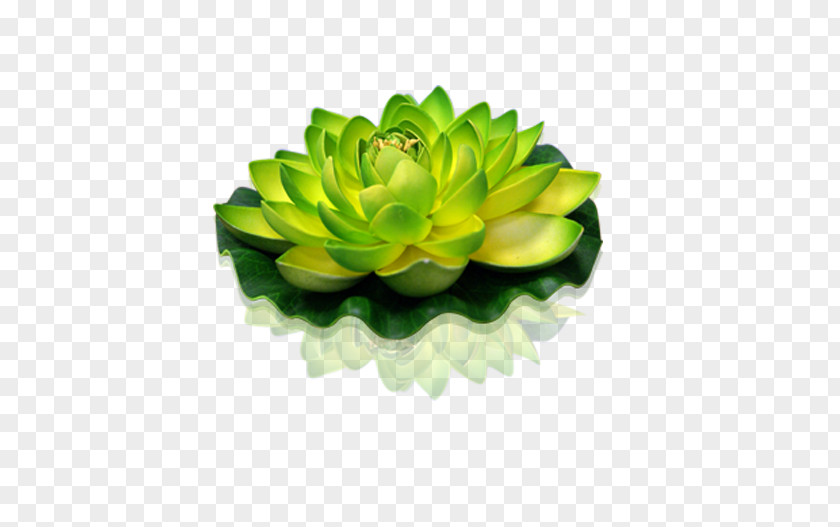 Flower Green Lantern Sacred Lotus Candle PNG