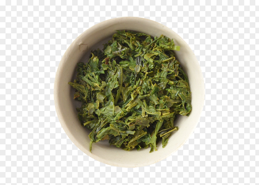 Green Tea Sencha Nilgiri Gyokuro PNG